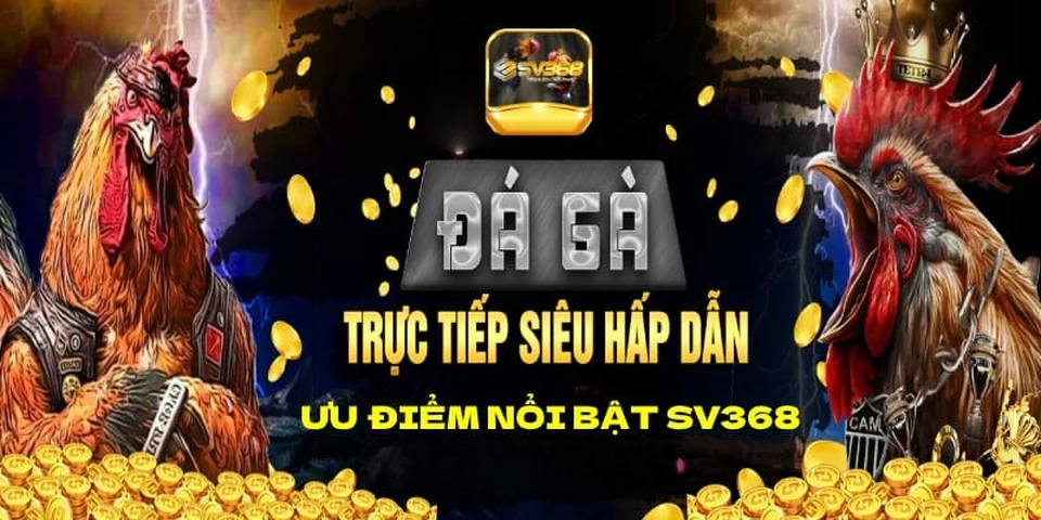 Sảnh đá gà SV368 hoạt động 24/7, tương thích với mọi thiết bị